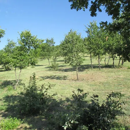 Du * Gargas (Vaucluse)
