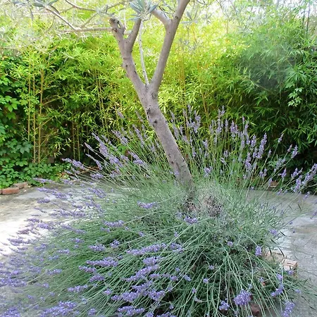 Du Apartment Gargas (Vaucluse)